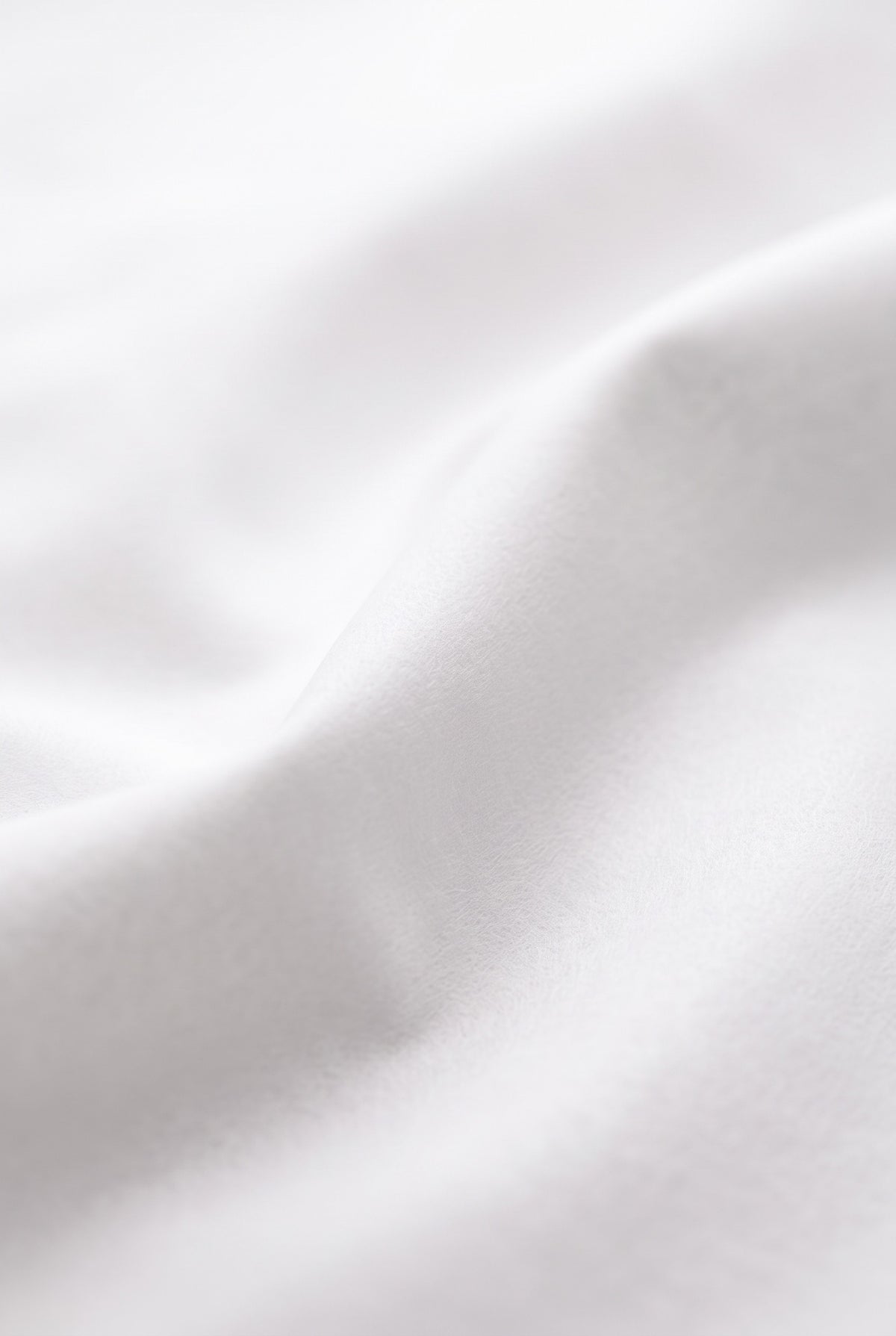 Kent & Co wrinkle-free cotton dress shirt with gift box